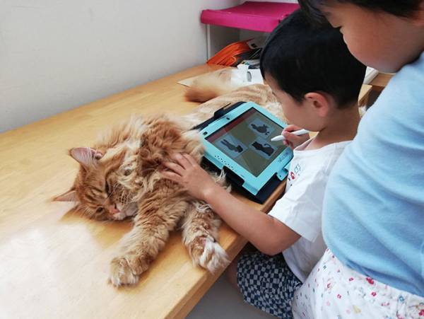 子供の遊びに付き合う愛猫、実は…？　子供と猫の関係性に心が温まる！