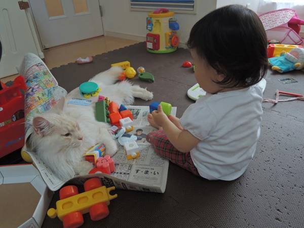 子供の遊びに付き合う愛猫、実は…？　子供と猫の関係性に心が温まる！