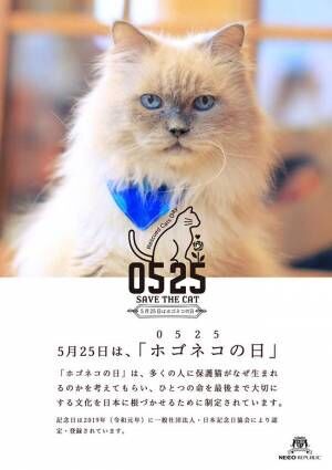 ５月２５日はホゴネコの日！　保護猫の命を救うキャンペーンを開催　内容は？