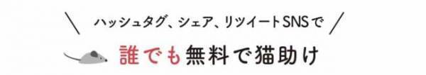 ５月２５日はホゴネコの日！　保護猫の命を救うキャンペーンを開催　内容は？