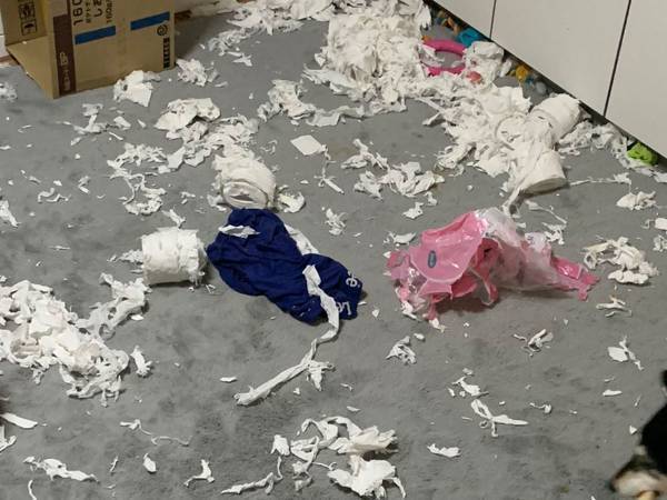 さぞ、楽しかっただろうな…　帰宅後、リビングに広がっていた光景を見て絶句