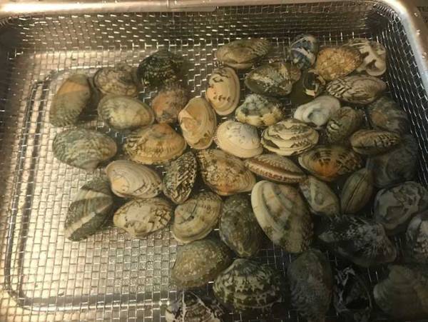 あさりをおいしくする裏ワザとは？砂抜きの時にあるものを入れる！