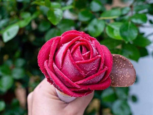 完成度が高すぎる…！　バラ園で撮影した『３枚』に、ときめきが止まらない