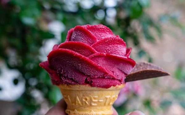 完成度が高すぎる…！　バラ園で撮影した『３枚』に、ときめきが止まらない