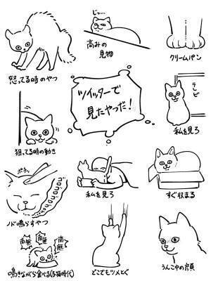 猫を拾って１年で『飼い主が知ったこと』に共感の嵐！　「全部分かる」「あるある！」