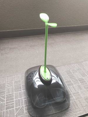 ベランダに巨大な『芽』が！？　夫は最初、笑っていたけど…