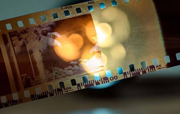 『ものを整理すること』は、心を整え、本当に必要なもの、大切なものを知ること