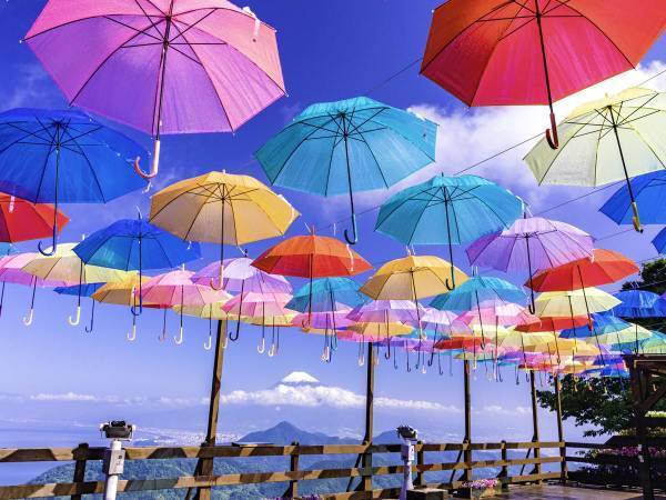 雨傘を何本持っていますか？　和傘を一度は差してみてほしい