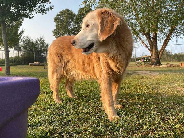 他の子と遊んでいても抱っこ！ 相葉が見立てた動物の中で、櫻井が気に入ったのは…
