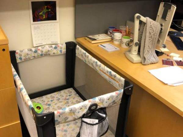 オフィスの写真を投稿した大学教授に称賛の声が殺到　「なんて寛大」