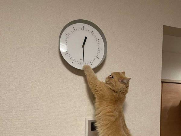 家の時計がズレる理由に、１７万人が爆笑　「声上げて笑った」「絶対計算してる」