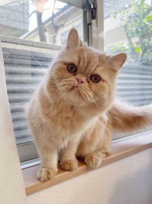 家の時計がズレる理由に、１７万人が爆笑　「声上げて笑った」「絶対計算してる」