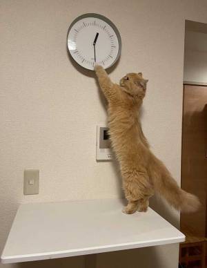 家の時計がズレる理由に、１７万人が爆笑　「声上げて笑った」「絶対計算してる」