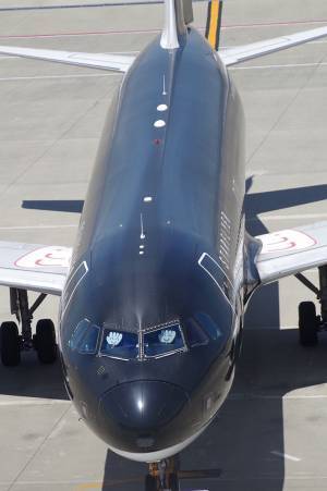 パイロットの行動に称賛の声　外から見ている人に気付くと？