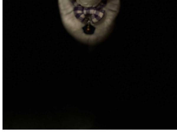 愛猫を最新スマホで撮影　意外な出来栄えにギョッとした