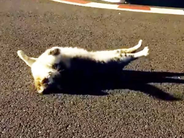 競技中止の原因は『店長』の行動　しかし、これは怒れない…！