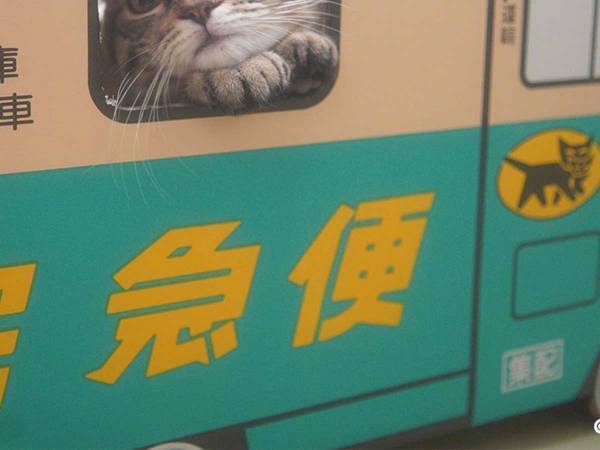 「心を完全に持っていかれた！」　配達員になりきる子猫をご覧ください