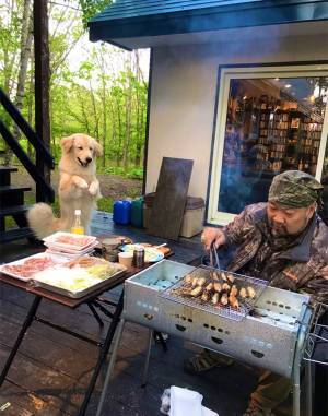 肉を焼く父の横で、待ち構えていたのは？　実家の写真に「絶妙な瞬間」「大喜利できそう」の声