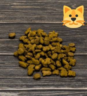 「猫にはこう見えています」　人の目にはカラフルなキャットフードが？