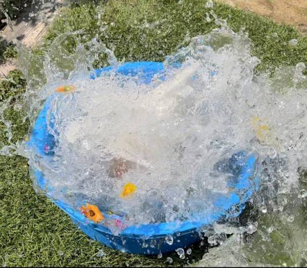 かわいく浮かべた花と写真を撮ったのも束の間…　続く写真に爆笑！