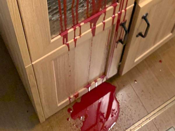 自宅内で流れたおびただしい血痕　意外な正体に衝撃が走った