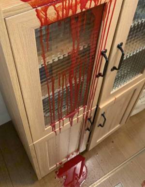 自宅内で流れたおびただしい血痕　意外な正体に衝撃が走った