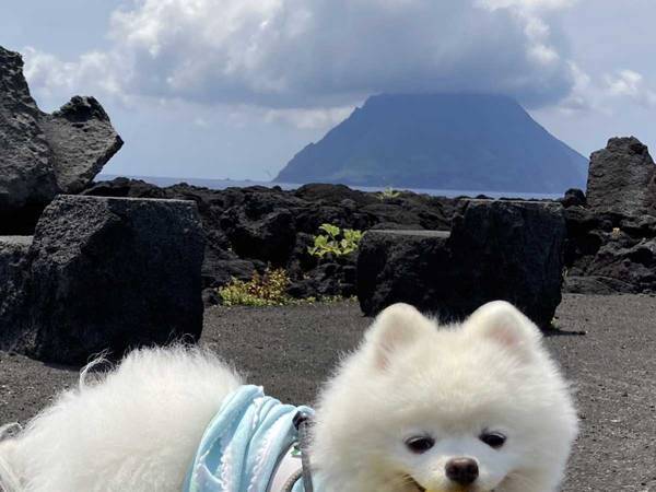 景色より目立つ！？　雄大な光景を撮影したのに、愛犬にしか目がいかない