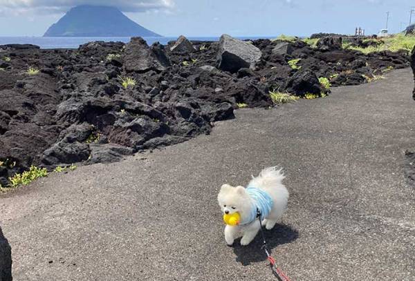 景色より目立つ！？　雄大な光景を撮影したのに、愛犬にしか目がいかない