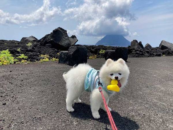 景色より目立つ！？　雄大な光景を撮影したのに、愛犬にしか目がいかない