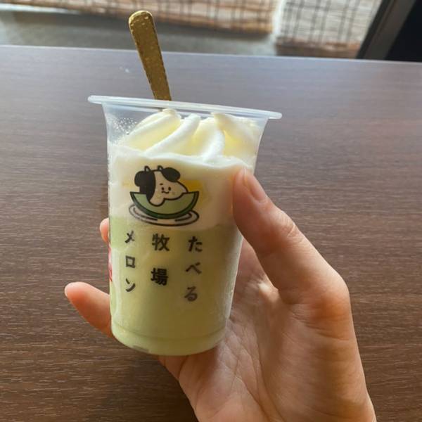 「初夏はやっぱりメロンだよね」　ファミマの限定アイスが至福のおいしさだった