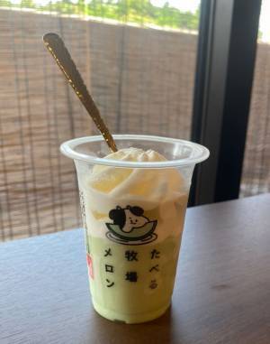 「初夏はやっぱりメロンだよね」　ファミマの限定アイスが至福のおいしさだった