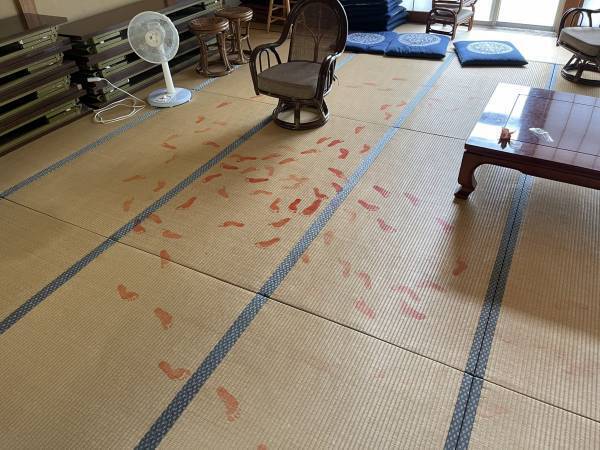 「現在逃走中です」　神社で行われた犯行　犯人の正体は！