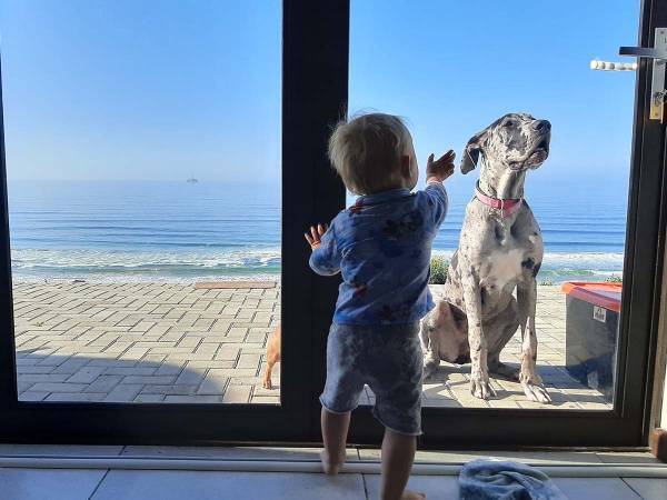 頼れるベビーシッター！　階段を上ろうとする赤ちゃん　すると子犬が…？