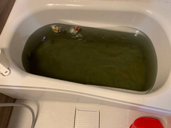 遊んで学べる入浴剤　娘の好奇心があふれた結果「いや、君のせいやがな」