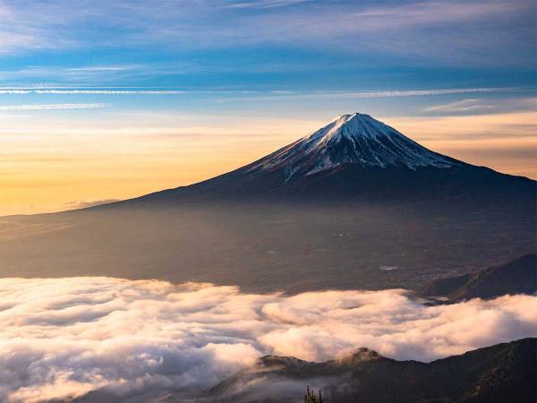 ２０２１年ラスト！　６月１５日は『一粒万倍日』と『天赦日』が重なる最強の日