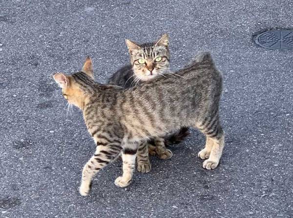 コンビニに変わった貼り紙　しかし次の瞬間「これはいる」と思ったワケ