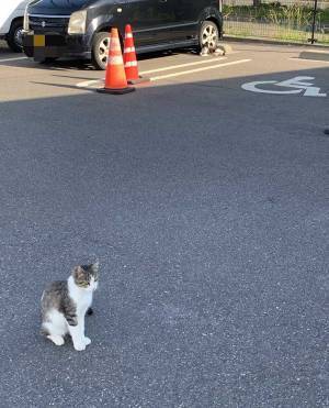 コンビニに変わった貼り紙　しかし次の瞬間「これはいる」と思ったワケ