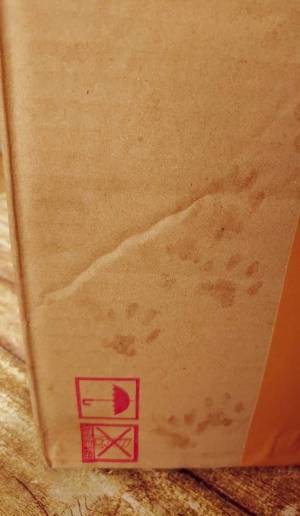 雨の日にやってきた配達員「申し訳ございません」　続く展開に、１２万『いいね』