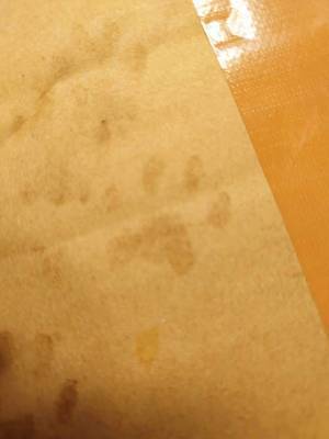 雨の日にやってきた配達員「申し訳ございません」　続く展開に、１２万『いいね』