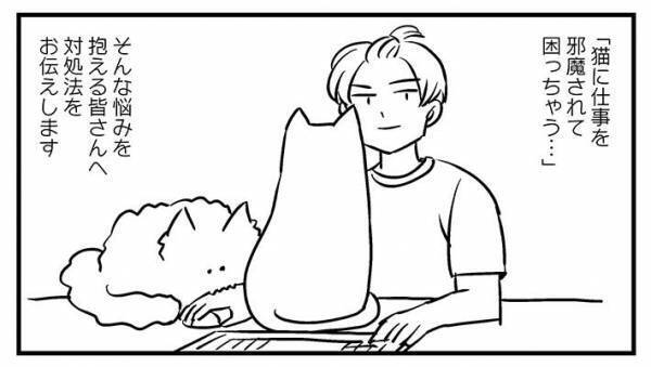 猫と暮らす人へのアドバイス　「水吹き出しそう」の声が寄せられた内容とは