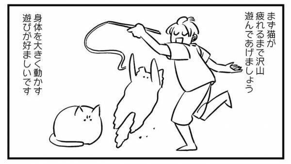 猫と暮らす人へのアドバイス　「水吹き出しそう」の声が寄せられた内容とは