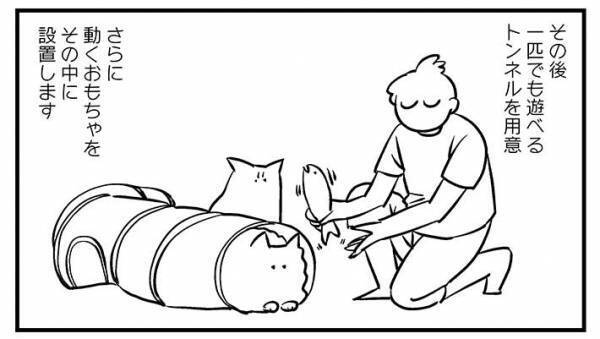 猫と暮らす人へのアドバイス　「水吹き出しそう」の声が寄せられた内容とは