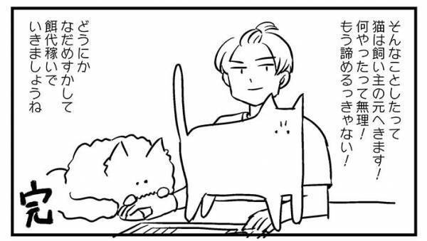 猫と暮らす人へのアドバイス　「水吹き出しそう」の声が寄せられた内容とは