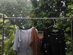 ゲリラ豪雨で濡れてしまった洗濯物、洗い直すべき？　回答に「知らなかった」の声