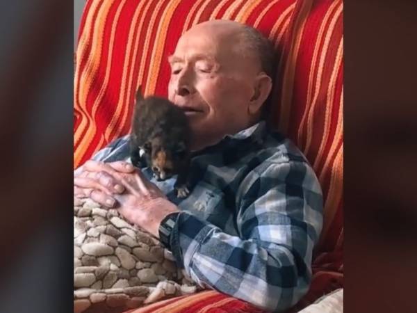 １００歳になったおじいさんに子猫を贈ったら？　「愛しすぎる」