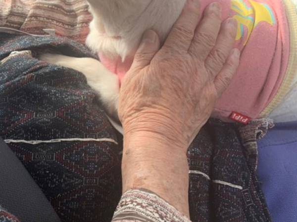 おばあさん「あんたは…」　続く言葉に愛情があふれだしていた