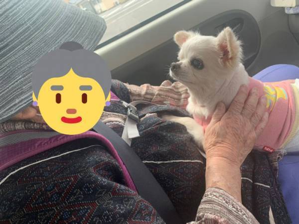 おばあさん「あんたは…」　続く言葉に愛情があふれだしていた