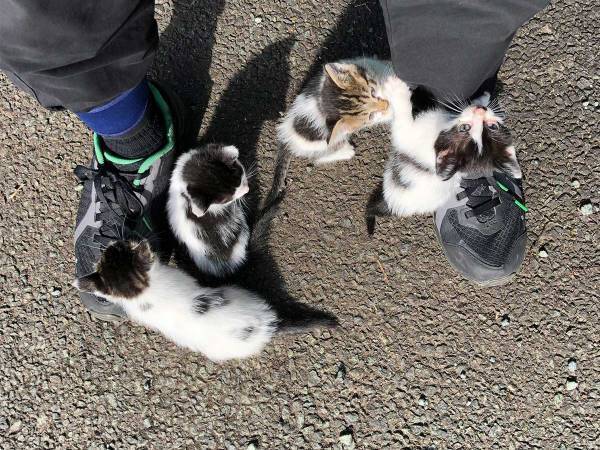 「う、動けない…」　会社の駐車場で動けなくなった男性、その理由とは？