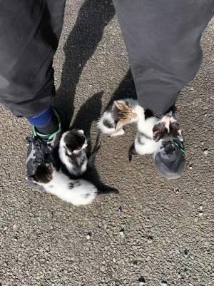 「う、動けない…」　会社の駐車場で動けなくなった男性、その理由とは？