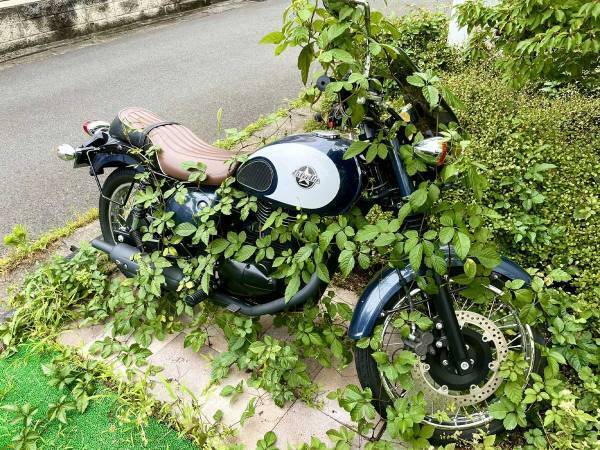 放置していたバイクを久しぶりに見たら…　「悲鳴を上げてしまいそう」